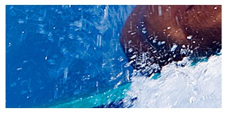 c4a33c563ebed22d84d2