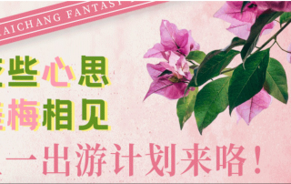 冰球突破-冰球电游豪华版_MG冰球游戏