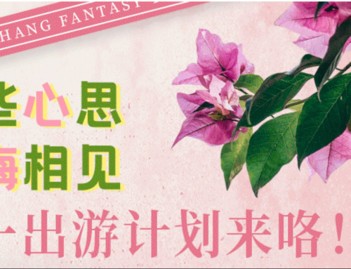 刘畊宏女孩请注重，，，五一锁定不夜城，，，一起美梅相见！！