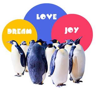 animal-conservation-yysl animal-conservation-yysl