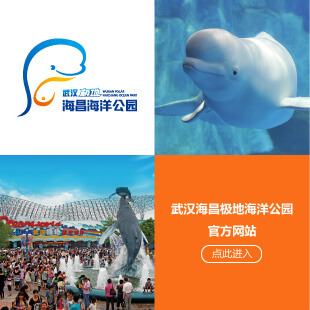 武汉冰球突破极地海洋公园