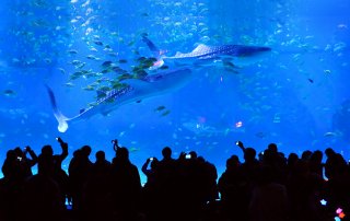 冰球突破-冰球电游豪华版_MG冰球游戏