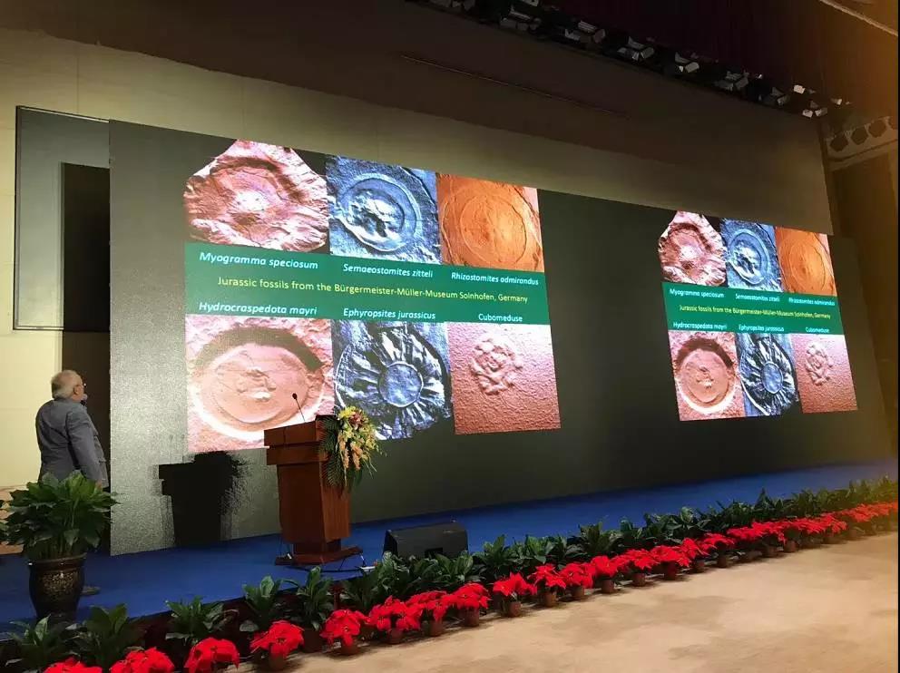 冰球突破-冰球电游豪华版_MG冰球游戏