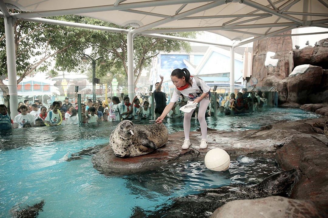 冰球突破-冰球电游豪华版_MG冰球游戏