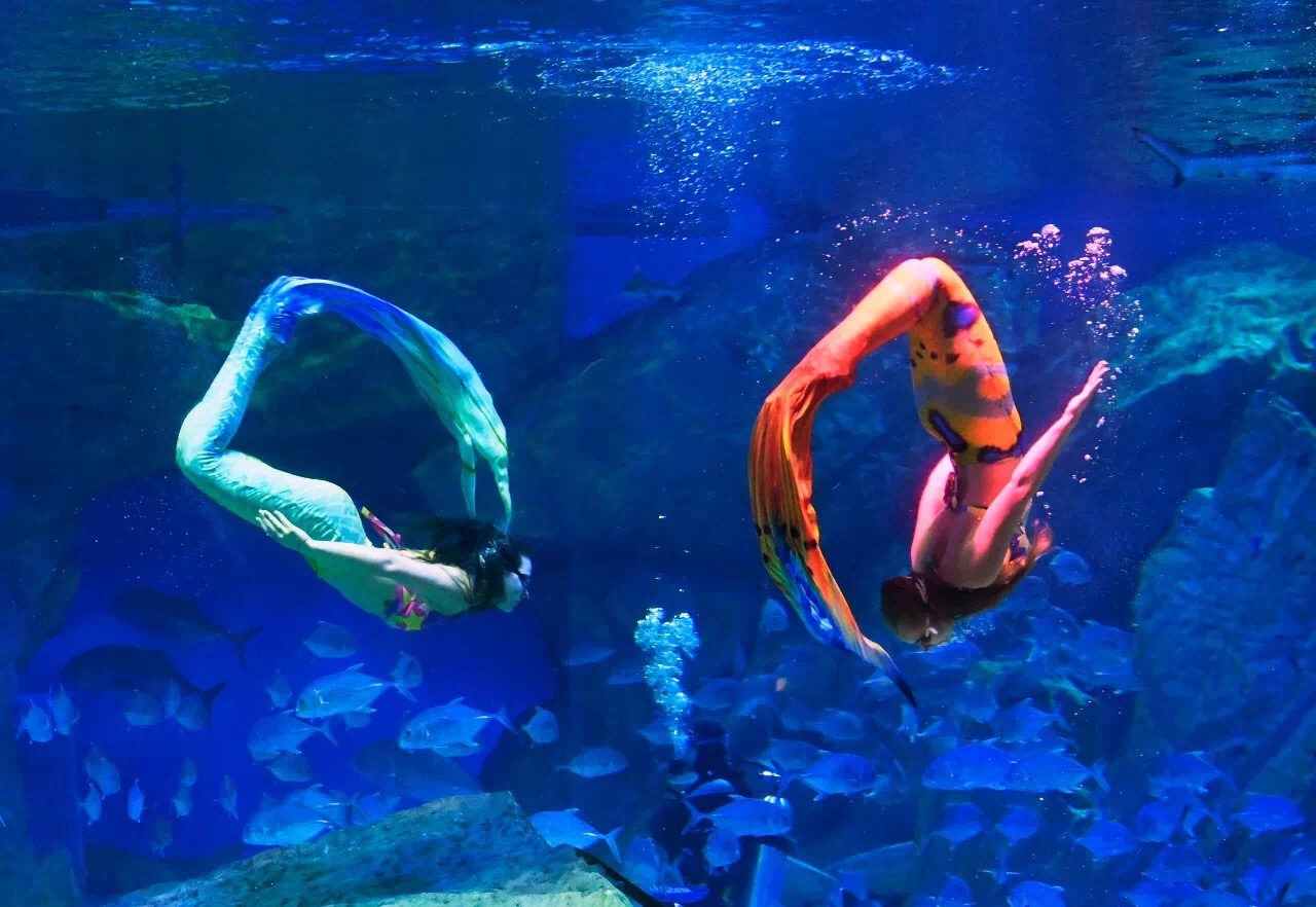 冰球突破-冰球电游豪华版_MG冰球游戏