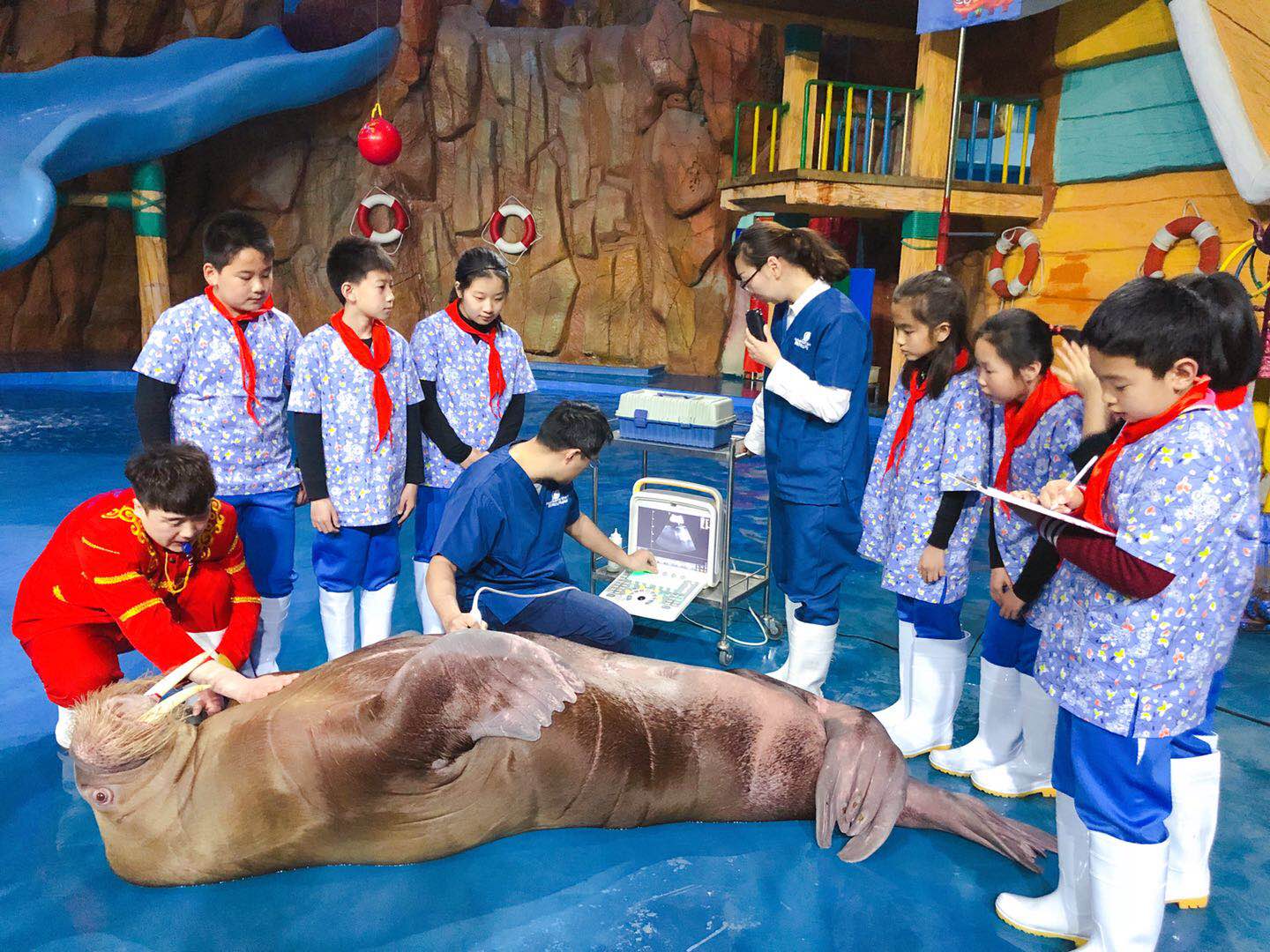 冰球突破-冰球电游豪华版_MG冰球游戏