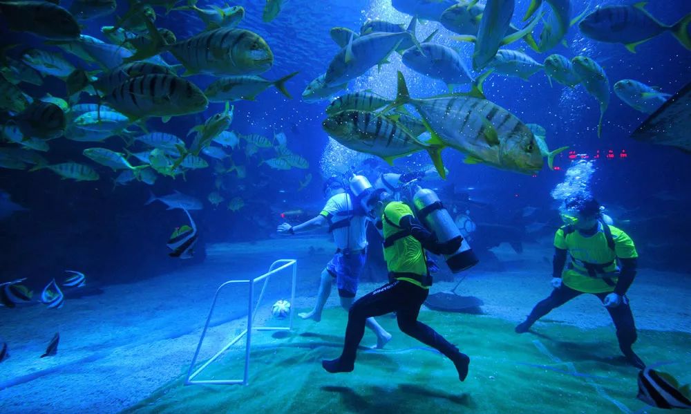 冰球突破-冰球电游豪华版_MG冰球游戏