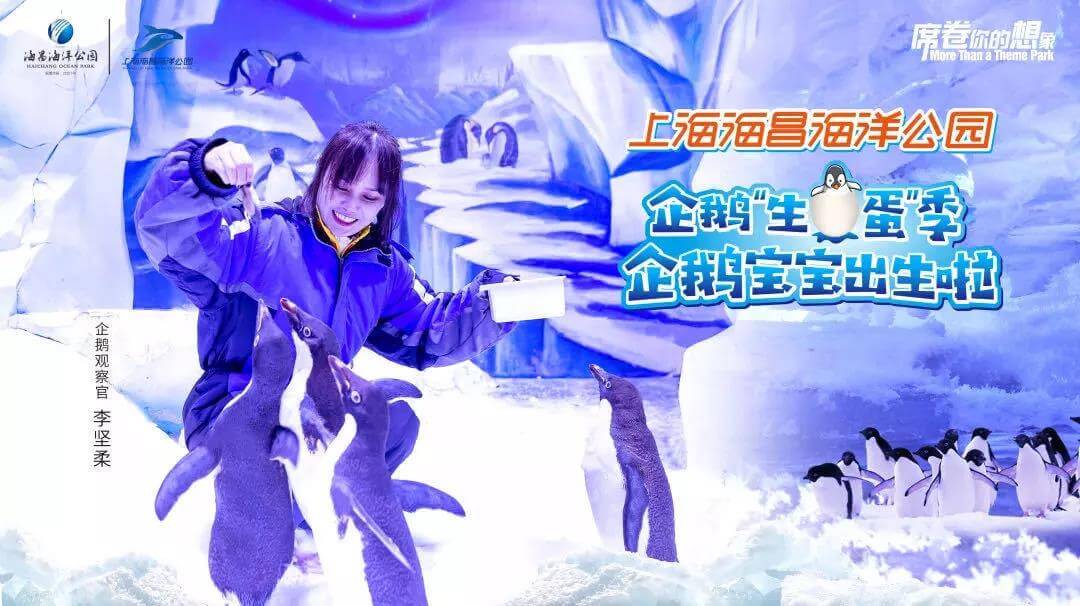 冰球突破-冰球电游豪华版_MG冰球游戏