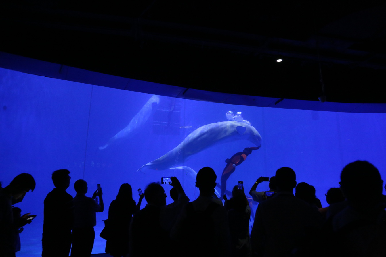 冰球突破-冰球电游豪华版_MG冰球游戏