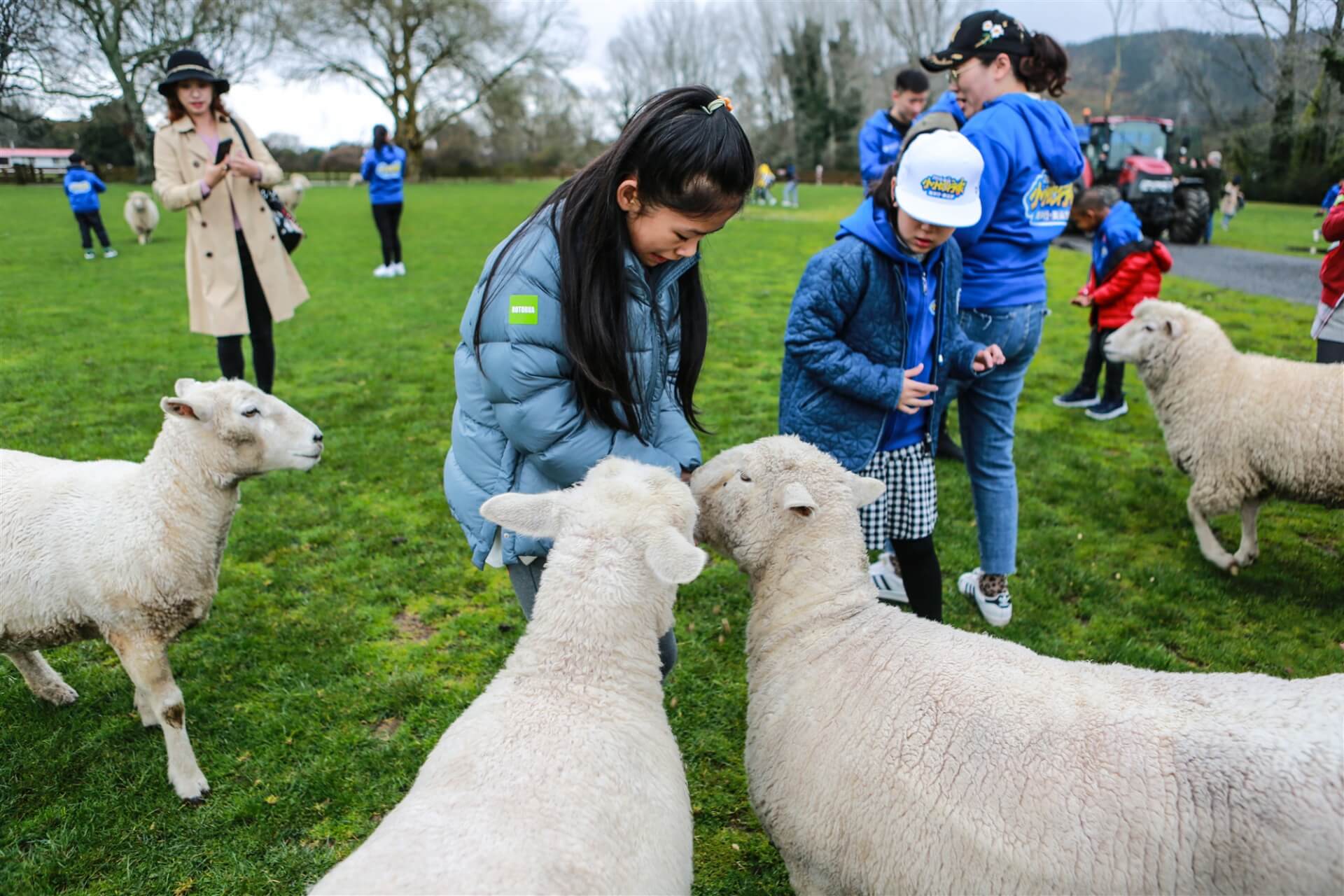 冰球突破-冰球电游豪华版_MG冰球游戏