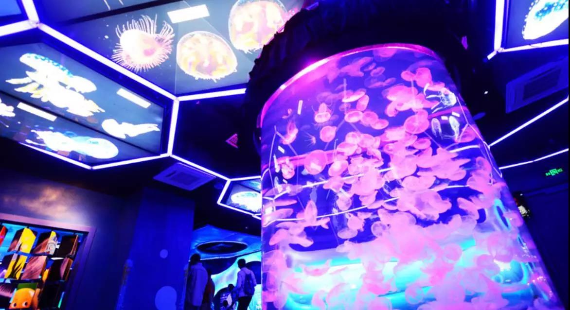 冰球突破-冰球电游豪华版_MG冰球游戏