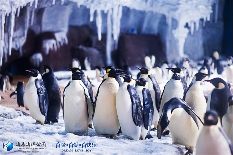 冰球突破-冰球电游豪华版_MG冰球游戏