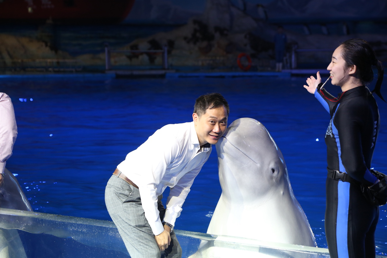 冰球突破-冰球电游豪华版_MG冰球游戏