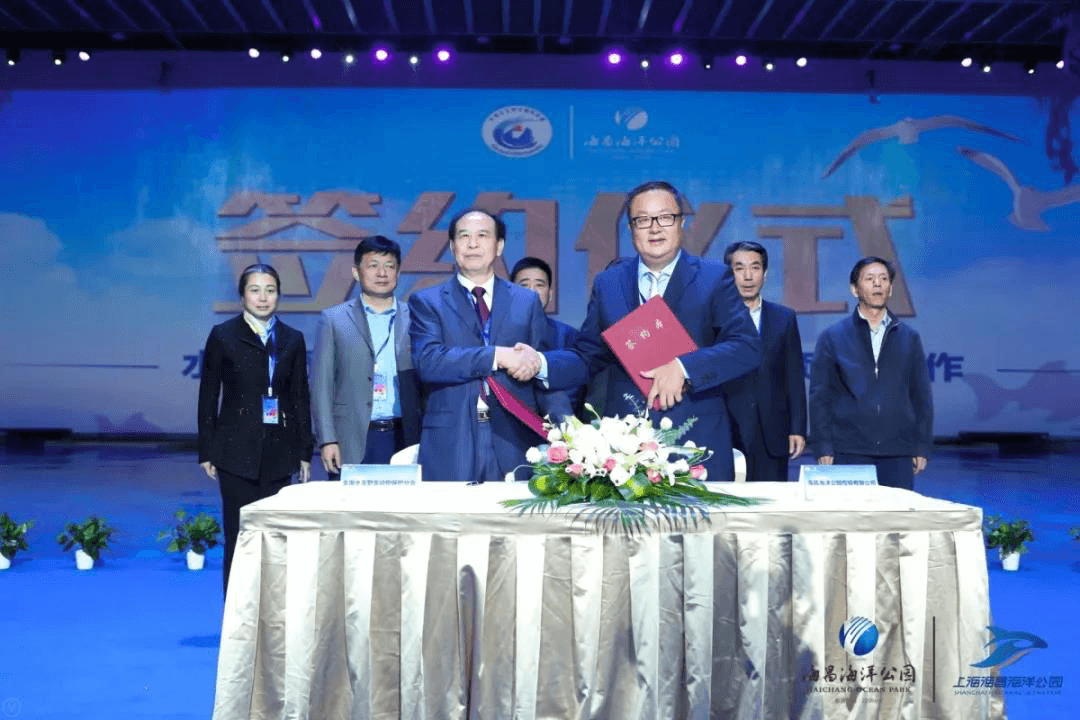 冰球突破-冰球电游豪华版_MG冰球游戏