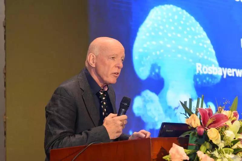 冰球突破-冰球电游豪华版_MG冰球游戏