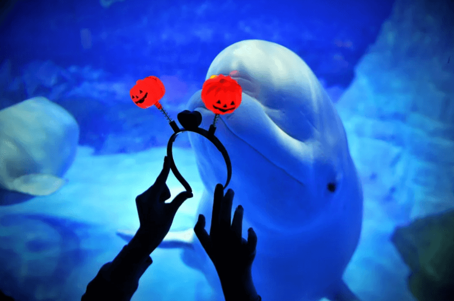 冰球突破-冰球电游豪华版_MG冰球游戏