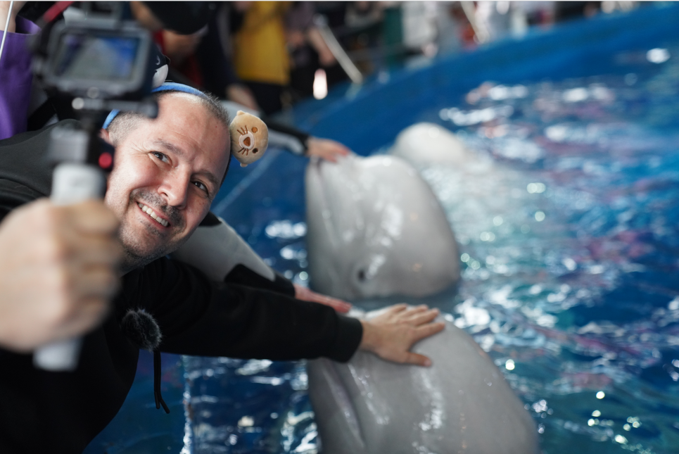 冰球突破-冰球电游豪华版_MG冰球游戏