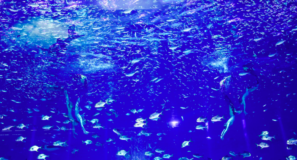 冰球突破-冰球电游豪华版_MG冰球游戏