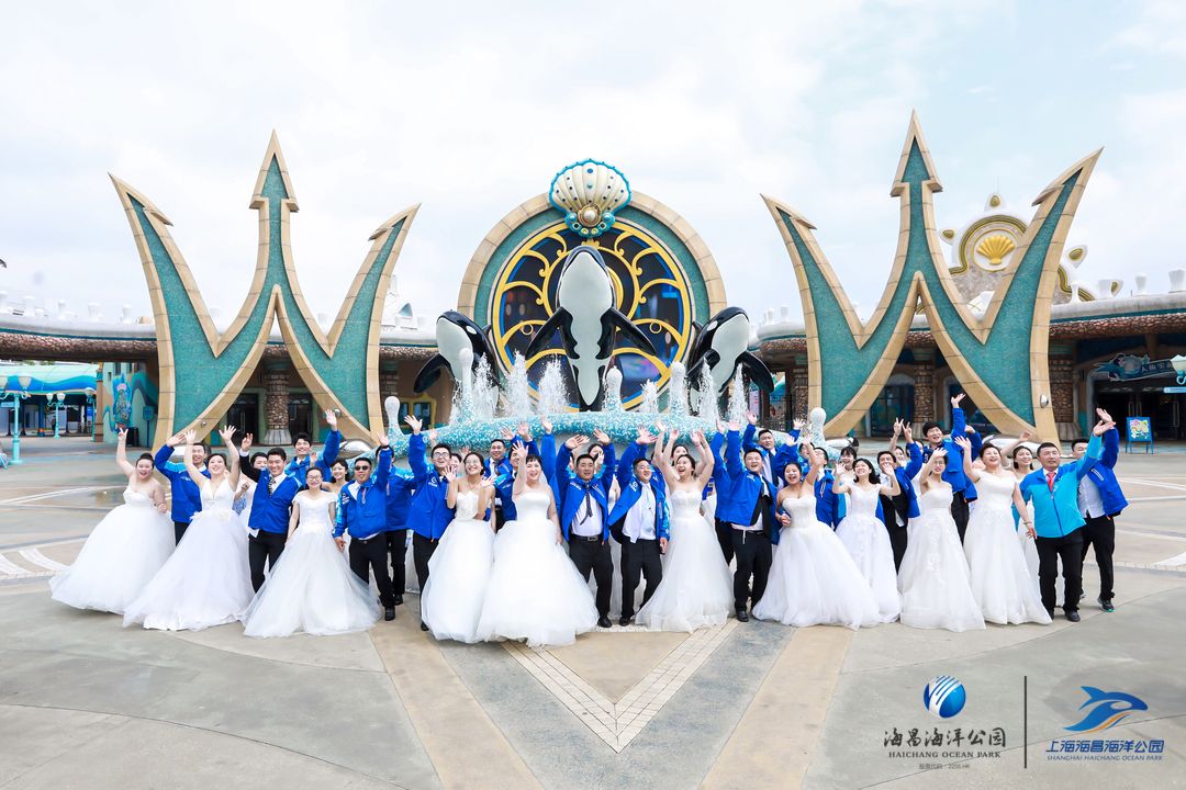 冰球突破-冰球电游豪华版_MG冰球游戏