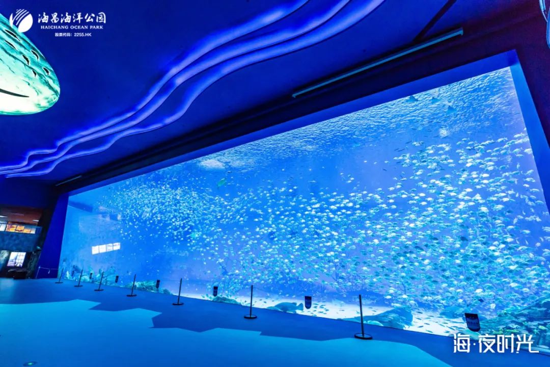 冰球突破-冰球电游豪华版_MG冰球游戏