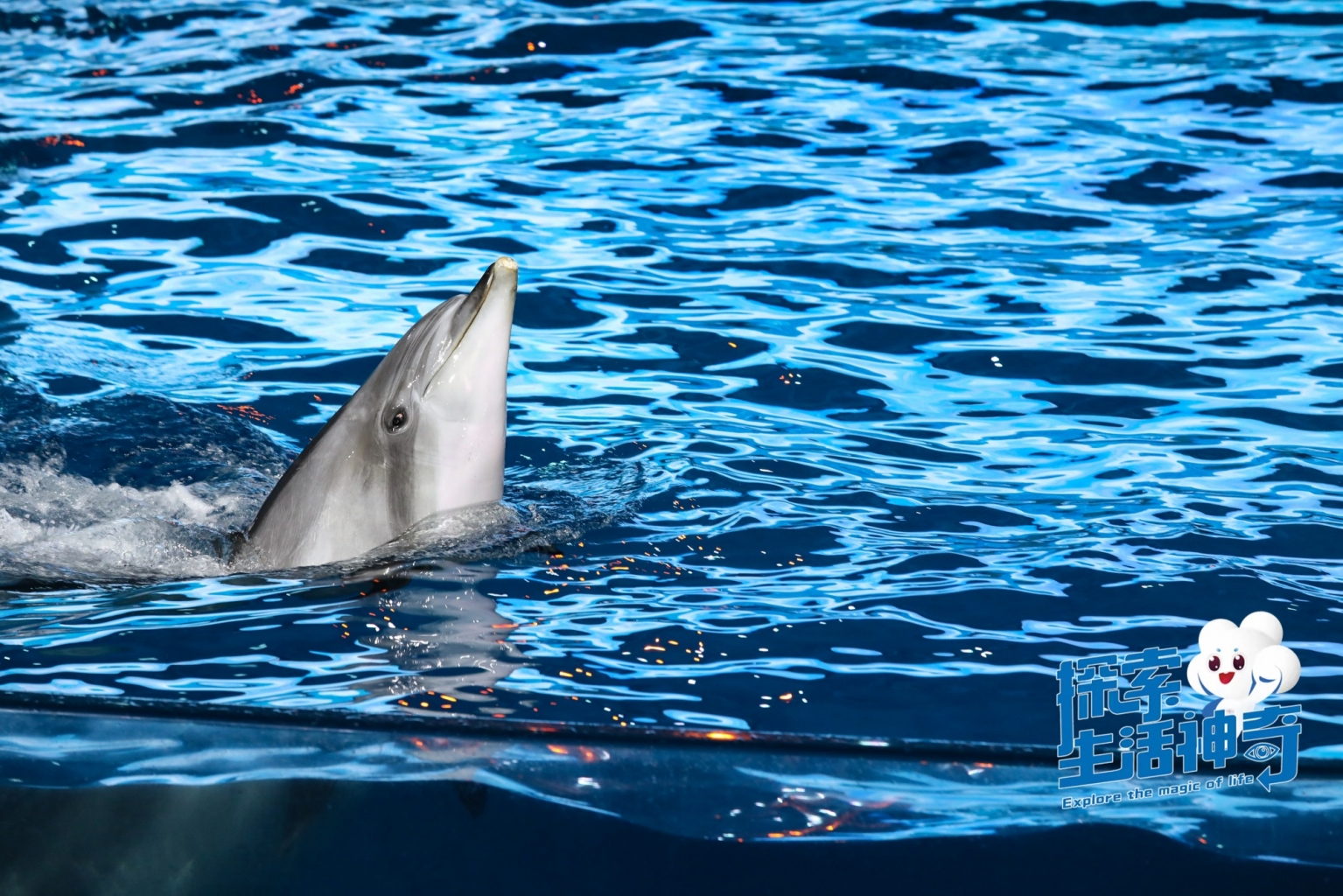 冰球突破-冰球电游豪华版_MG冰球游戏