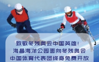 冰球突破-冰球电游豪华版_MG冰球游戏