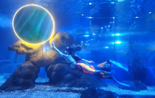 冰球突破-冰球电游豪华版_MG冰球游戏