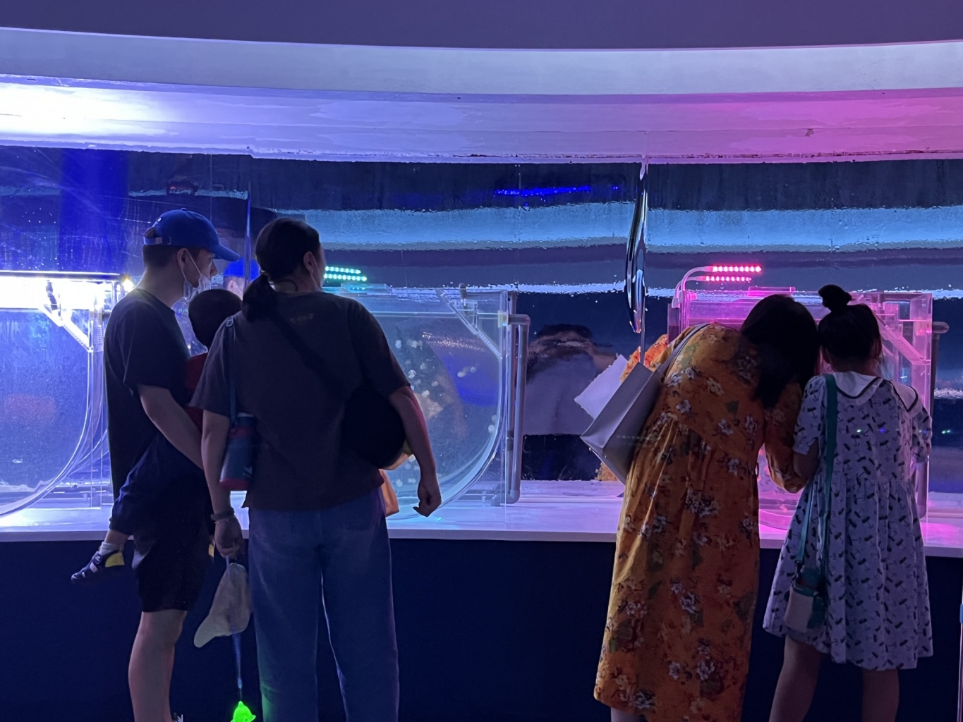 冰球突破-冰球电游豪华版_MG冰球游戏