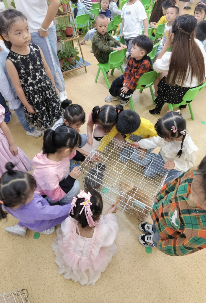 冰球突破-冰球电游豪华版_MG冰球游戏