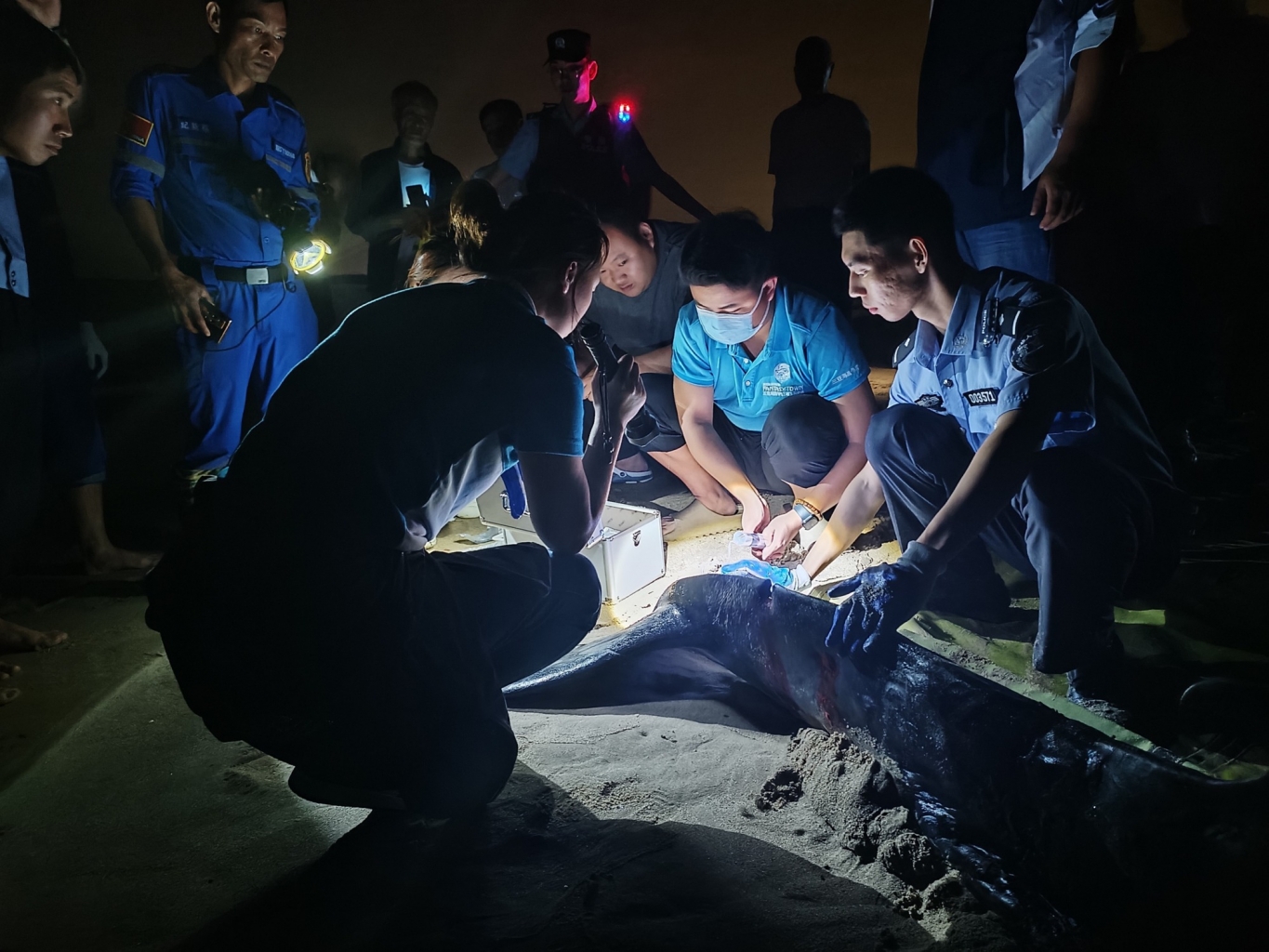 冰球突破-冰球电游豪华版_MG冰球游戏