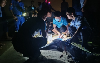 冰球突破-冰球电游豪华版_MG冰球游戏