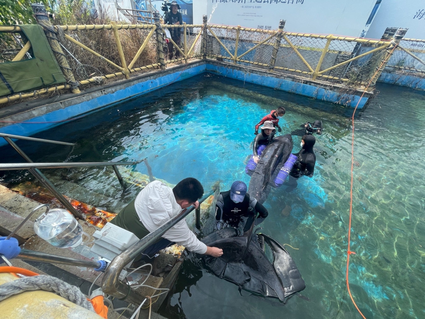 冰球突破-冰球电游豪华版_MG冰球游戏