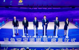 冰球突破-冰球电游豪华版_MG冰球游戏