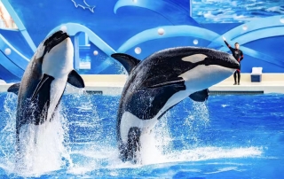 冰球突破-冰球电游豪华版_MG冰球游戏