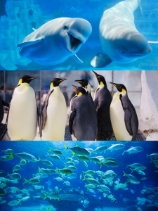 冰球突破-冰球电游豪华版_MG冰球游戏