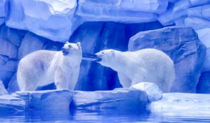 冰球突破-冰球电游豪华版_MG冰球游戏