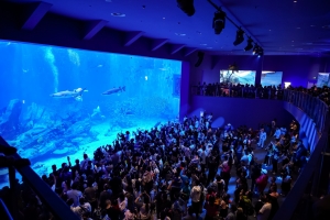 冰球突破-冰球电游豪华版_MG冰球游戏