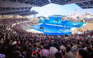 冰球突破-冰球电游豪华版_MG冰球游戏