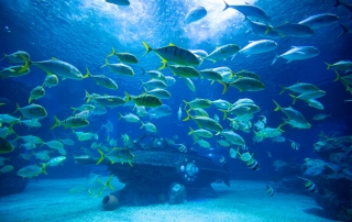 冰球突破-冰球电游豪华版_MG冰球游戏