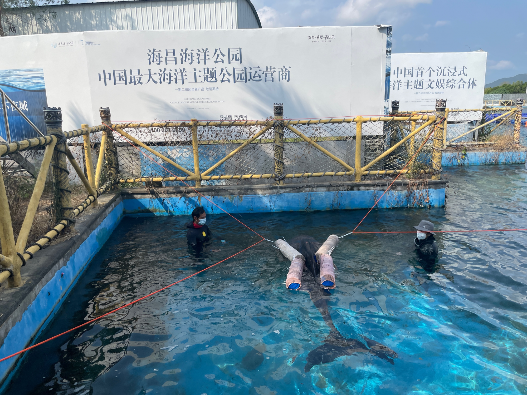 冰球突破-冰球电游豪华版_MG冰球游戏