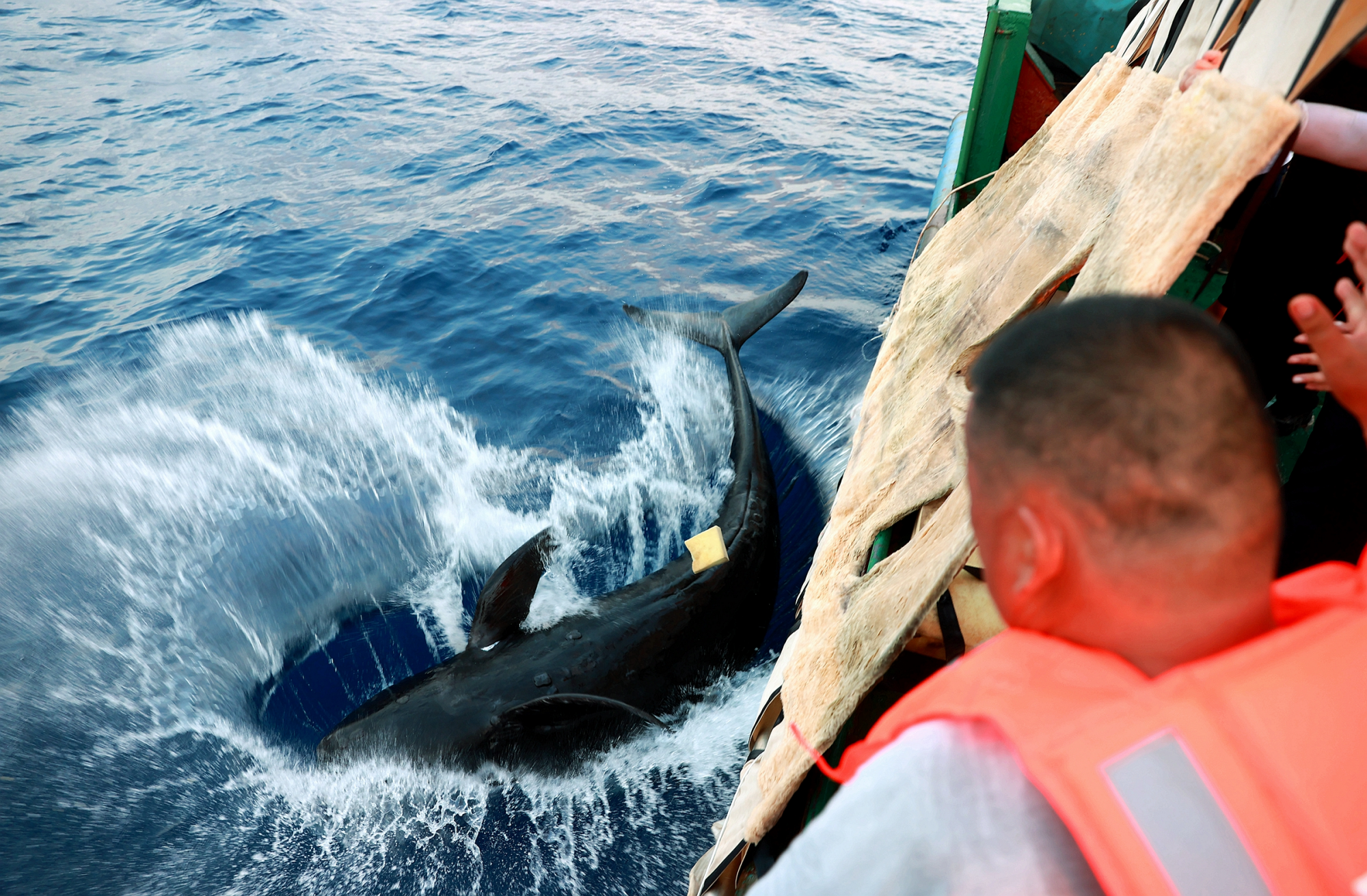 冰球突破-冰球电游豪华版_MG冰球游戏