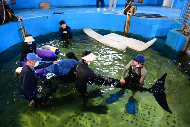 冰球突破-冰球电游豪华版_MG冰球游戏