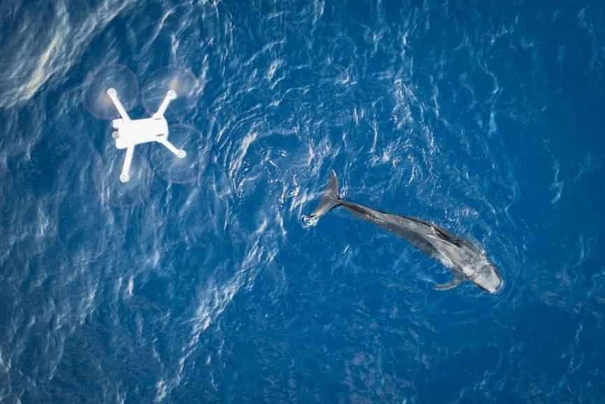 冰球突破-冰球电游豪华版_MG冰球游戏