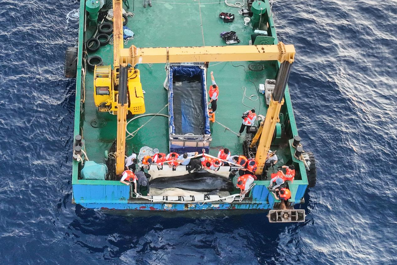 冰球突破-冰球电游豪华版_MG冰球游戏