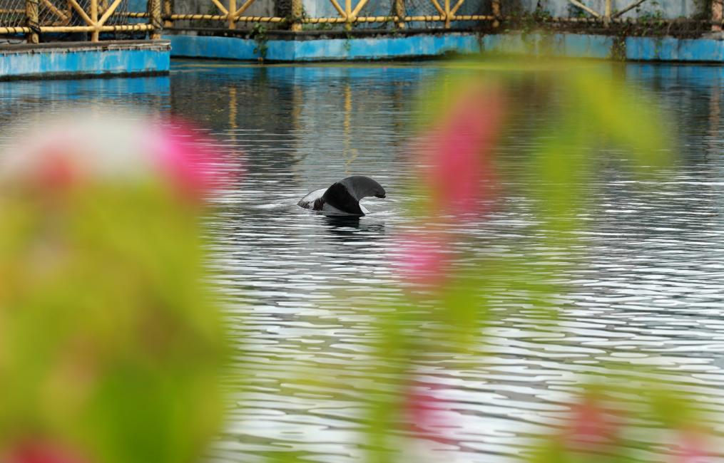 冰球突破-冰球电游豪华版_MG冰球游戏