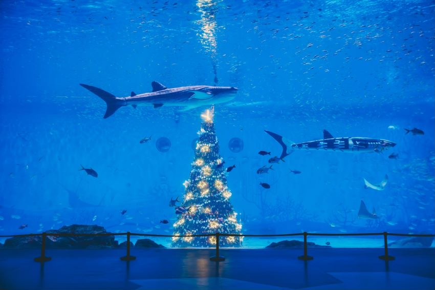 冰球突破-冰球电游豪华版_MG冰球游戏