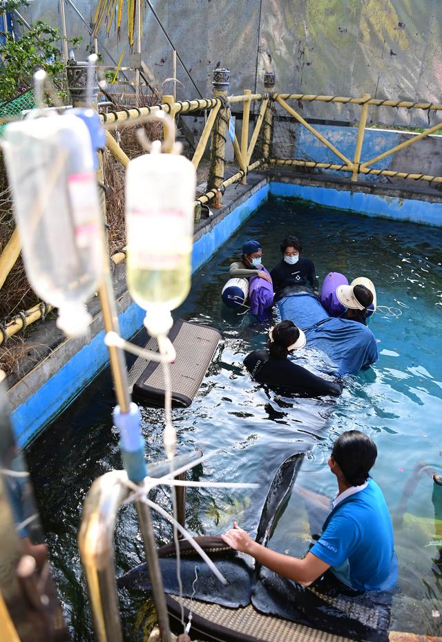 冰球突破-冰球电游豪华版_MG冰球游戏