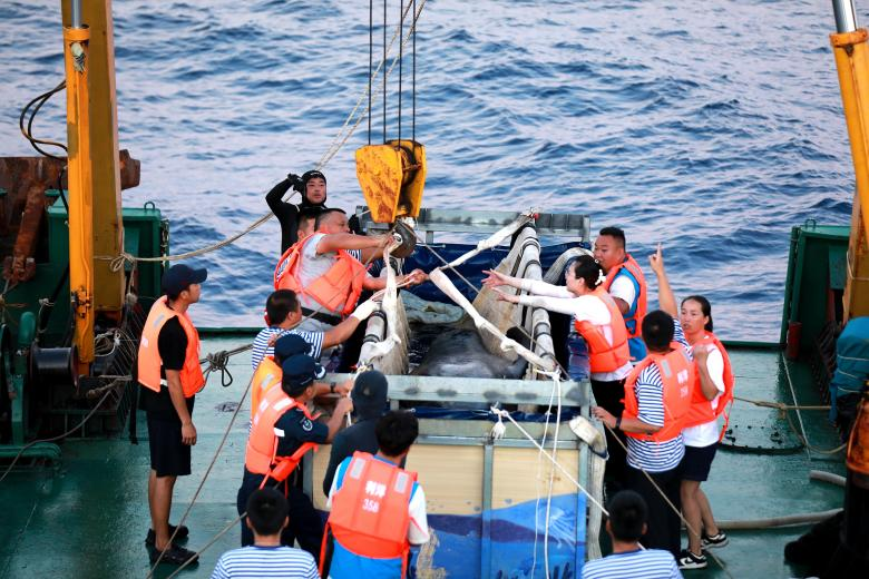 冰球突破-冰球电游豪华版_MG冰球游戏