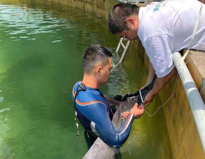 冰球突破-冰球电游豪华版_MG冰球游戏