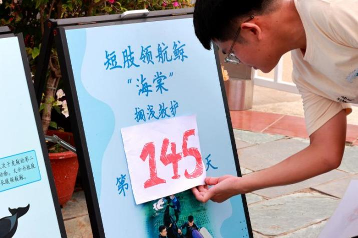 冰球突破-冰球电游豪华版_MG冰球游戏